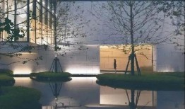 新湖总场爆料最新消息新闻,最新消息震撼来袭！